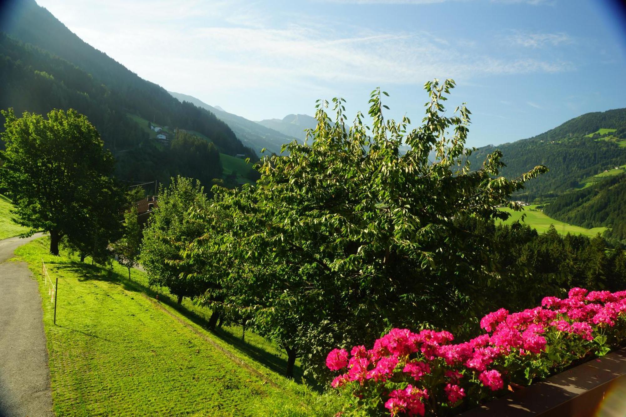 Ferienwohnung Zillertal - Haus Dichtl Stummerberg Εξωτερικό φωτογραφία